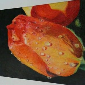 Meet your Posher, Lori